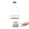 Paul Neuhaus Verlichting CONTURA Hanglamp LED Zandkleurig, 2-lichts