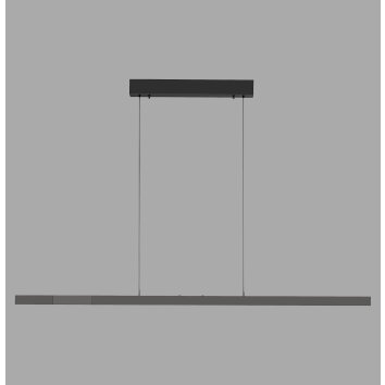 Paul Neuhaus Verlichting Lift Hanglamp LED Antraciet, 3-lichts