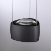 Paul Neuhaus Q-Serie Q-STRETTO Hanglamp LED Zwart, 2-lichts, Afstandsbediening