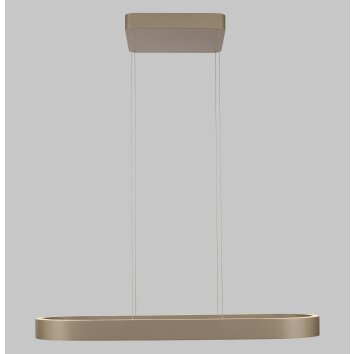 Paul Neuhaus Q-Serie Q-STRETTO Hanglamp LED Brons, 2-lichts, Afstandsbediening