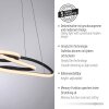Paul Neuhaus Verlichting TWIST Hanglamp LED Zwart, 1-licht