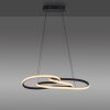 Paul Neuhaus Verlichting TWIST Hanglamp LED Zwart, 1-licht