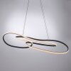Paul Neuhaus Verlichting TWIST Hanglamp LED Zwart, 1-licht