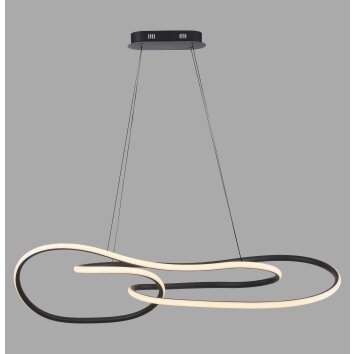Paul Neuhaus Verlichting TWIST Hanglamp LED Zwart, 1-licht