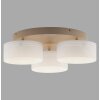 Paul Neuhaus Verlichting MARIKA Plafondlamp LED Zandkleurig, 3-lichts