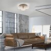 Paul Neuhaus Verlichting MARIKA Plafondlamp LED Zandkleurig, 3-lichts