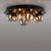 Paul Neuhaus Verlichting POPSICLE Plafondlamp LED Zwart, 8-lichts