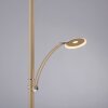 Paul Neuhaus Verlichting ARTUR Staande lamp LED Zandkleurig, 2-lichts