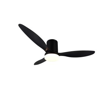 Reality mit Plafondventilator met verlichting LED Zwart, 1-licht, Afstandsbediening
