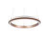 Trio verlichting Amador Hanglamp LED Bruin, 1-licht