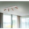 Trio verlichting Ambala Plafondspot LED Bruin, 4-lichts