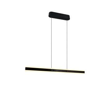 Trio verlichting Arcola Hanglamp LED Zwart, 1-licht