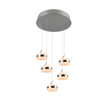 Trio verlichting Dios Hanglamp LED Nikkel mat, 5-lichts