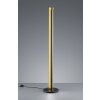Trio TEXEL Staande lamp LED Zwart, 1-licht