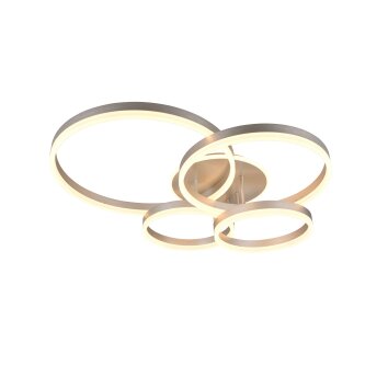 Trio verlichting Drake Plafondlamp LED Nikkel mat, 1-licht, Afstandsbediening