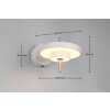 Trio verlichting KEATON Wandlamp LED Grijs, 1-licht