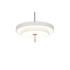 Trio verlichting KEATON Hanglamp LED Grijs, 1-licht