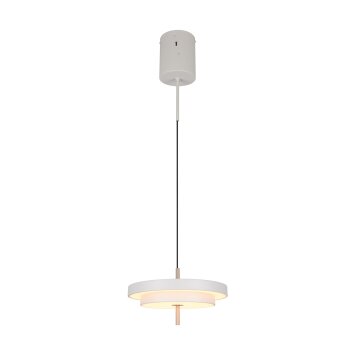 Trio verlichting KEATON Hanglamp LED Grijs, 1-licht