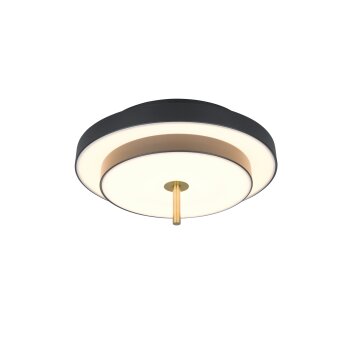 Trio verlichting KEATON Plafondlamp LED Zwart-Goud, 1-licht