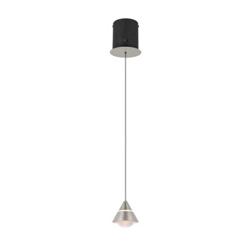 Trio verlichting Romeo Hanglamp LED Nikkel mat, 1-licht