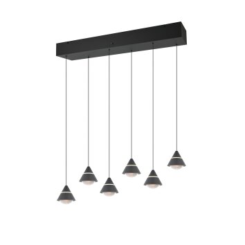 Trio verlichting Romeo Hanglamp LED Zwart, 6-lichts