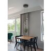 Trio verlichting Romeo Hanglamp LED Zwart, 5-lichts