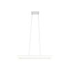 Reality Camino Hanglamp LED Wit, 1-licht