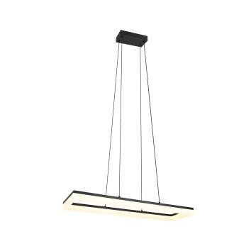Reality Camino Hanglamp LED Zwart, 1-licht
