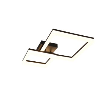 Reality Camino Plafondlamp LED Zwart, 1-licht
