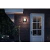 Philips verlichting Samondra Wandlamp voor buiten LED Antraciet, 1-licht