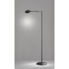 Trio KAZAN Staande lamp LED Zwart, 1-licht