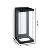 Philips verlichting Ulyzo Wandlamp voor buiten LED Zwart, 1-licht