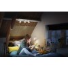Philips verlichting Runner Plafondlamp Wit, 1-licht