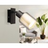 Globo Villegas Wandlamp, Muurspot Zwart, 1-licht