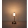 Globo Skyler Tafellamp LED Nikkel mat, 1-licht