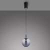 Paul Neuhaus Verlichting Infinity Hanglamp LED Grijs, 1-licht, Afstandsbediening