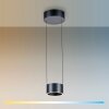 Paul Neuhaus Verlichting Clipse Hanglamp LED Grijs, 2-lichts, Afstandsbediening