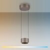 Paul Neuhaus Verlichting Clipse Hanglamp LED Brons, 2-lichts, Afstandsbediening