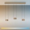 Paul Neuhaus Verlichting Clipse Hanglamp LED Brons, 6-lichts, Afstandsbediening
