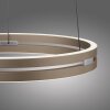 Paul Neuhaus Verlichting E-Loop Hanglamp LED Brons, 2-lichts, Afstandsbediening
