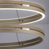 Paul Neuhaus Verlichting E-Loop Hanglamp LED Brons, 2-lichts, Afstandsbediening