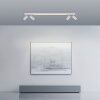 Paul Neuhaus Verlichting Spot Plafondlamp, Plafondspot LED Wit, 5-lichts, Afstandsbediening
