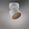 Paul Neuhaus Verlichting Cup Plafondlamp LED Wit, 1-licht