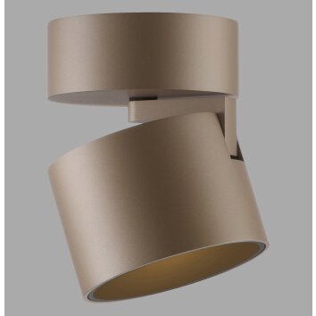 Paul Neuhaus Verlichting Cup Plafondlamp LED Brons, 1-licht