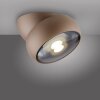 Paul Neuhaus Verlichting Move Plafondlamp LED Brons, 1-licht