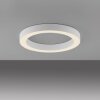 Paul Neuhaus Verlichting Round Plafondlamp LED Wit, 1-licht, Afstandsbediening