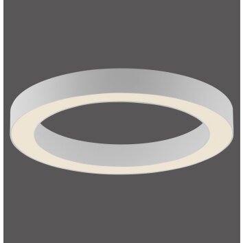 Paul Neuhaus Verlichting Round Plafondlamp LED Wit, 1-licht, Afstandsbediening