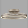 Paul Neuhaus Verlichting Loop Plafondlamp LED Brons, 2-lichts, Afstandsbediening