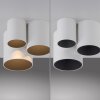 Paul Neuhaus Verlichting Point Plafondlamp LED Wit, 1-licht