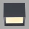 Paul Neuhaus Verlichting Manhattan Plafondlamp LED Grijs, 1-licht, Afstandsbediening